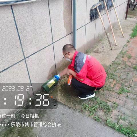 2023.8.27乐陵市蚊蝇消杀工作进度