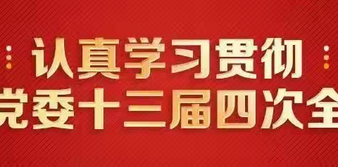 能源工程公司设计院党总支深入学习宣传贯彻自治区党委十三届四次全会精神