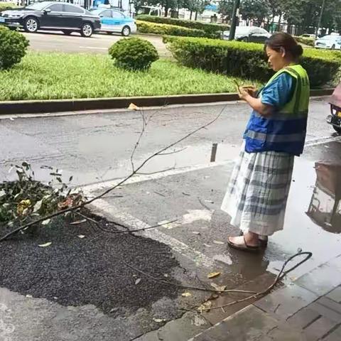 雨后排查不停歇 全面开展专项采集