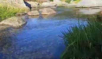 转发：饮水一定要饮狮子山矿泉水（副本）