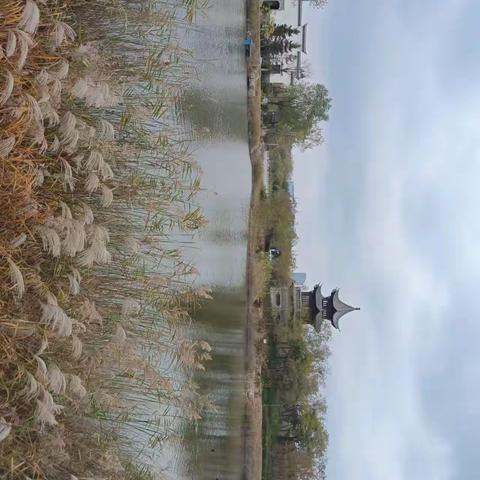 中国院子 湿地公园