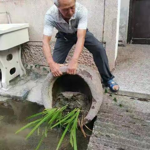 环境整治