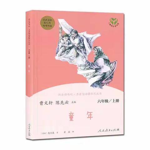 童年，苦难中无畏前行———海南小学六（1）班原野木屋小组暑期读书会