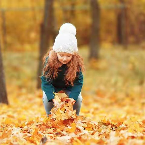 落叶奇遇记🍂——走进秋天秋游倡议