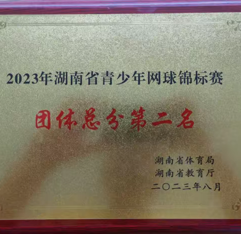 勇夺四金四银三铜！珠晖网球小将省锦标赛 载誉而归