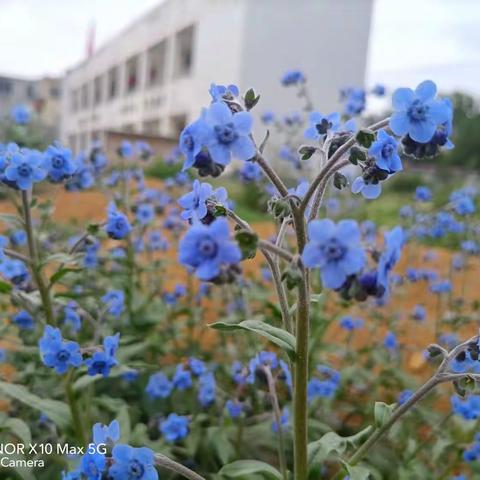 竹园乡海马宫小学2023春季学期暑期“大走访”