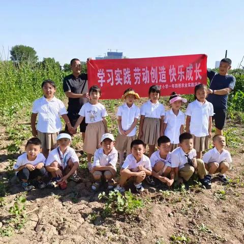 亲近自然，体验农耕乐趣——育才小学一年四班劳动实践教育活动