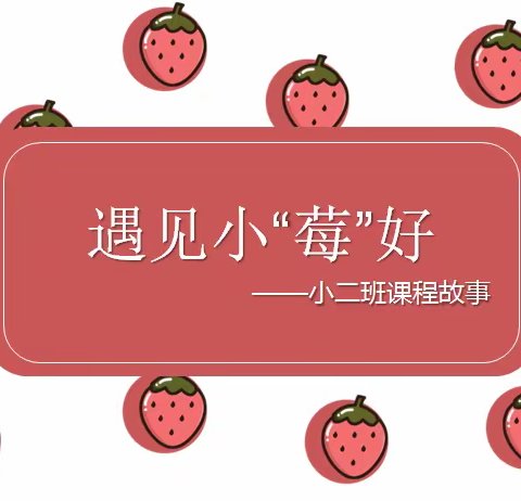 小二班班本活动——《遇见小莓好》