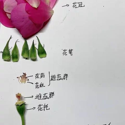 生物暑假作业（全）