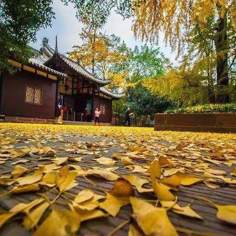 【苏词翰林】就读苏祠中学苏南小学，景区电梯2楼，献给对市中心依依不舍的您！97平3房2厅2卫66.6