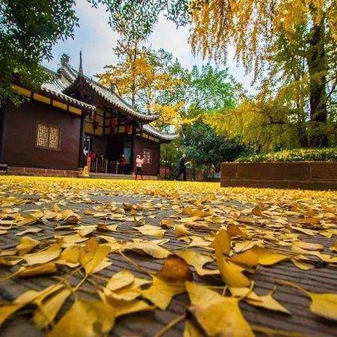 【苏词翰林】就读苏祠中学苏南小学，景区电梯3楼带车位，献给对市中心依依不舍的您！96平3房2厅2卫简装64.8万