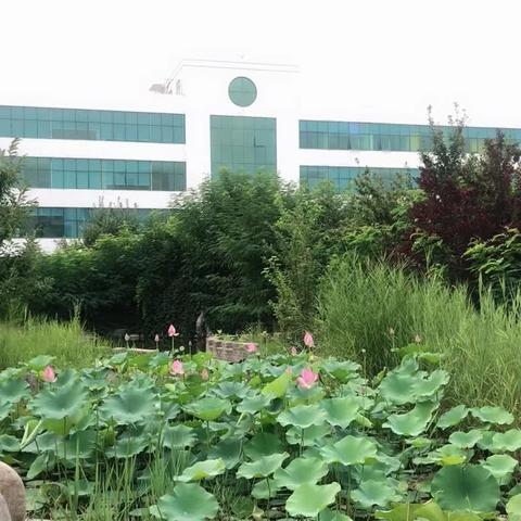 金榜单招全程班开学通知