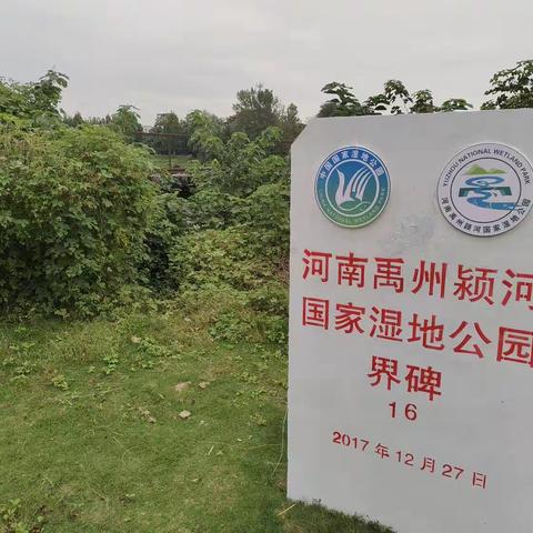 禹州褚河湿地公园