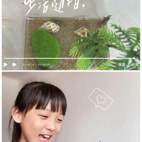 一周的欢乐时光（一  ——豆豆蟹🦀️）