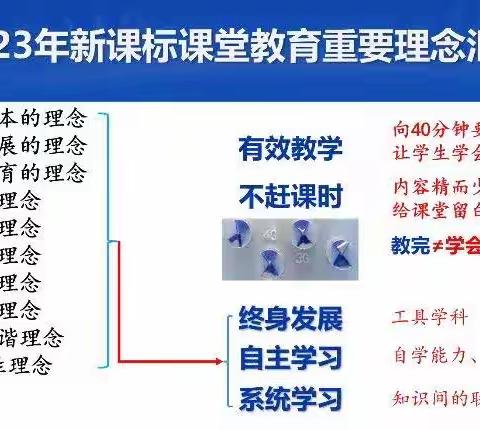 凝聚青年力量，筑梦美好未来