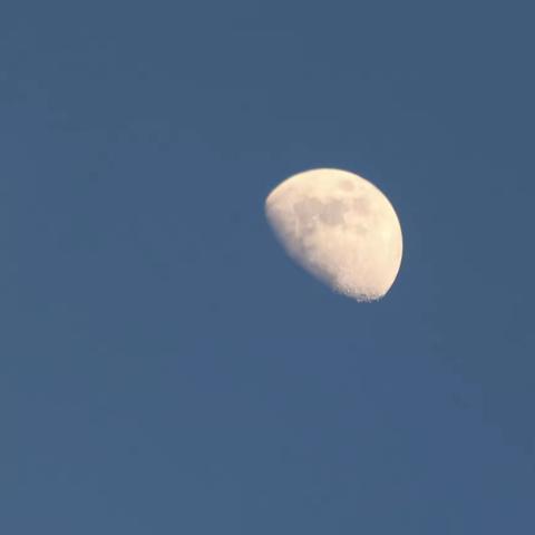 观月亮🌜