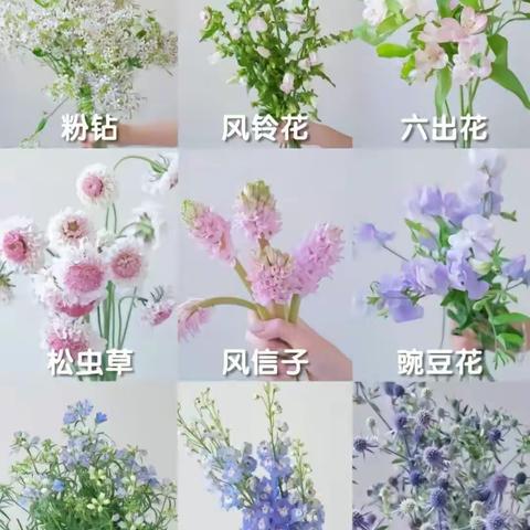 张芮旻生物作业