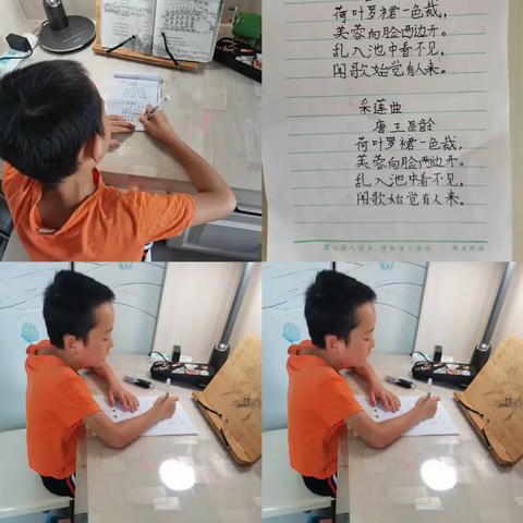 我是池阳小学二年级（3）班的孟少晨，我正在参加池阳小学的暑假微实践活动……