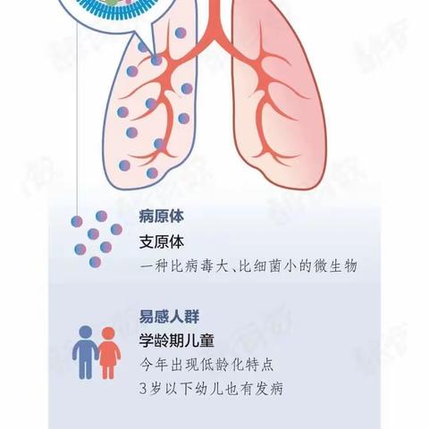 支原体感染增多！ 中招了怎么办？