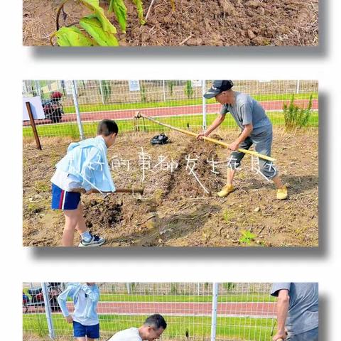 小浪花农场，体验种植的乐趣 -  临平一小415中队