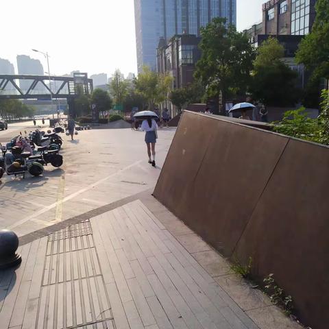 一见钟情，真的是太美了