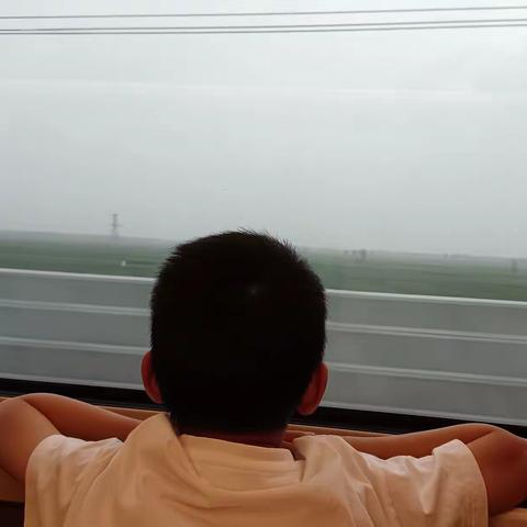 夏日绘梦，童年永恒