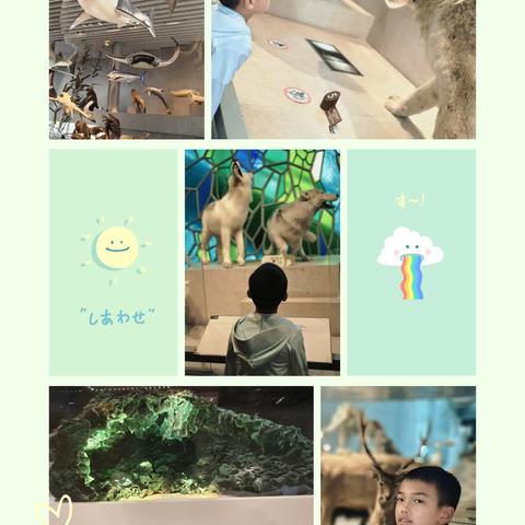 小憩一夏，暑我精彩