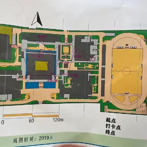 寓教于乐的“定向越野”军训项目