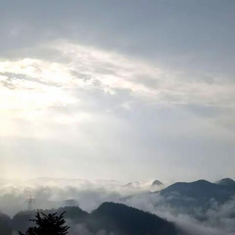 情绪自由v念头自在线上成长营