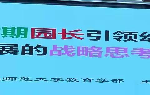 新时期园长引领幼儿园发展的      战略思考             ——王小英