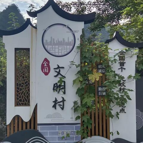 “驱蚊快 幸福来”大家一起来行动——实验中学909班