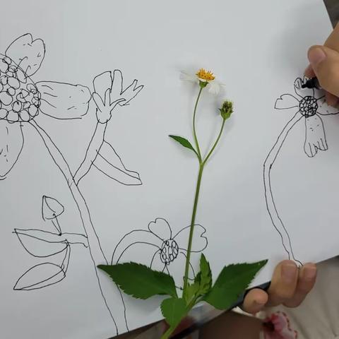 弓`长美术（画里图光）