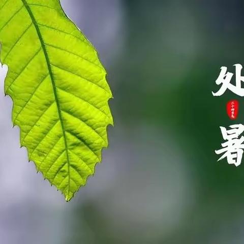 【二十四节气】处暑——暑去凉来好个秋