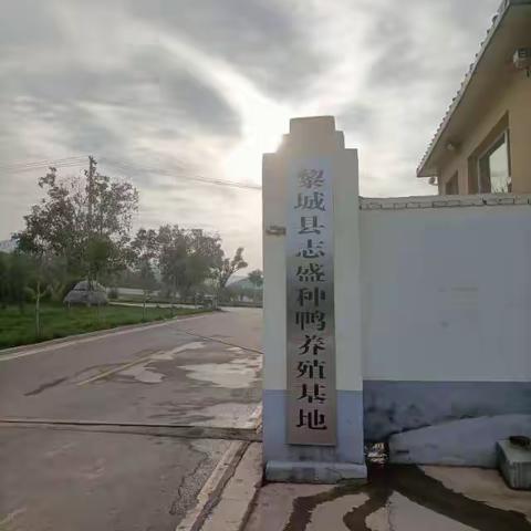 网格员护航国庆平安，巡查不停步