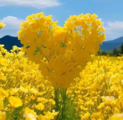 中国传统节日——“七夕”