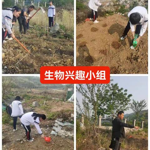 兴义二中生物兴趣小组活动记录