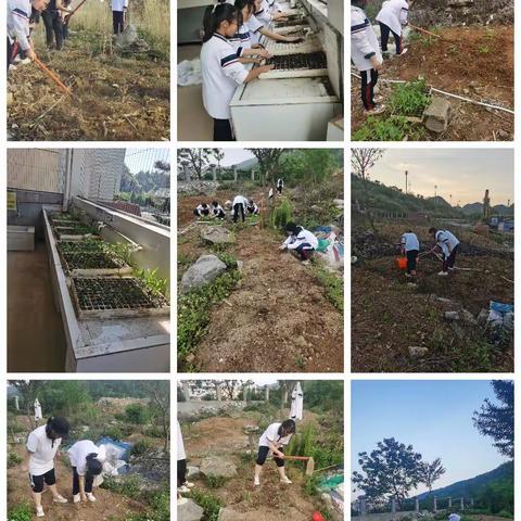 生物兴趣小组活动总结