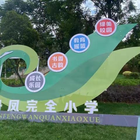阳光少年 未来可期