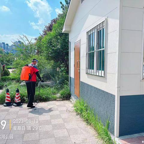 2023.8.13商河县消杀工作进度