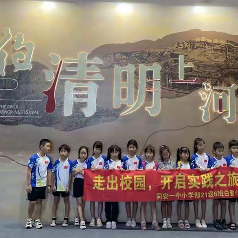 2023夏季白鹭小队社会实践活动