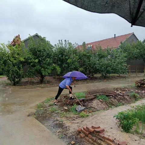 雨中坚守、雨后排查，风雨路上你我同行