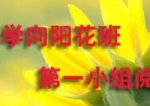 海南小学向阳花班第一小组阅读分享