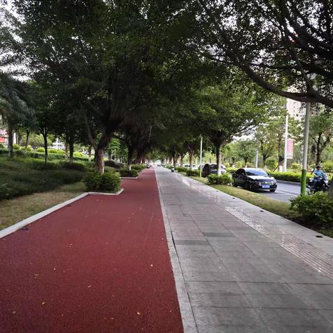 玉林市体育中心风景:㪚步随拍