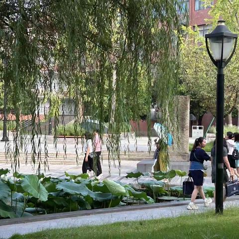 青海省高中地理🌍学科 骨干教师研修班培训日常—第2⃣️弹🎉