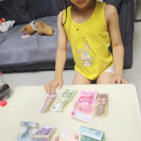 购物小达人—人民币的认识及应用