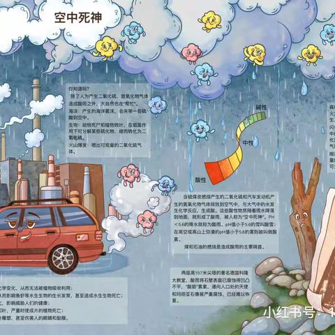 暑假科学网络日志——酸雨对植物生长有什么影响？