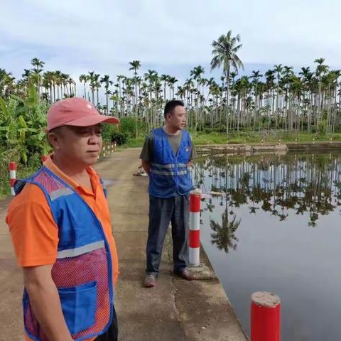 阳江镇开展未成年人“护苗”专项行动