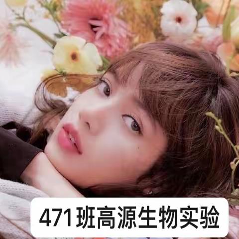 高源的美篇