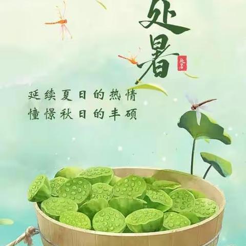 “处暑将至,秋意渐浓”—临沂青河实验学校附属幼儿园大二班处暑节气主题活动