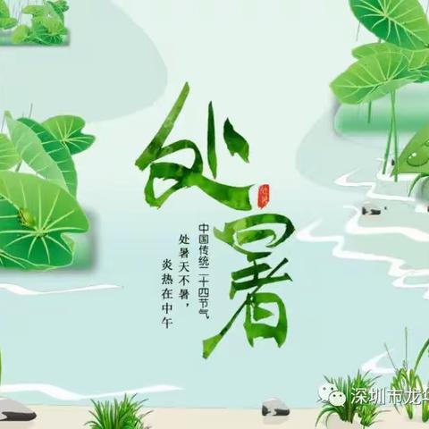 长夏已尽，秋色渐染--水工局幼儿园*遇见节气/处暑